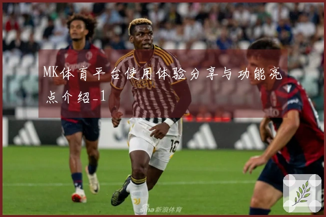 MK体育平台使用体验分享与功能亮点介绍_1