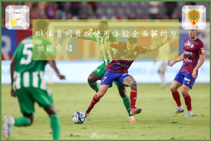 mk体育网页版使用体验全面解析与功能介绍
